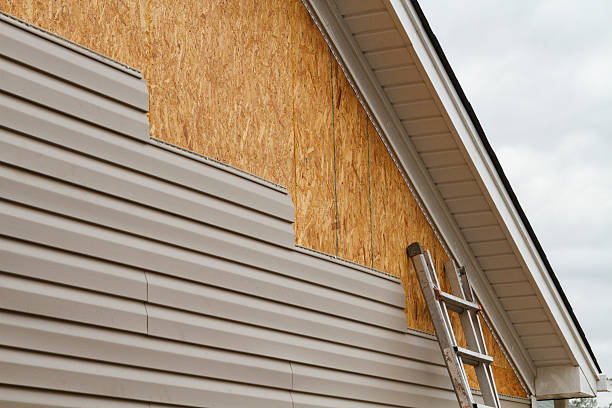 Professional Siding Repair technician working in Odenton, MD
